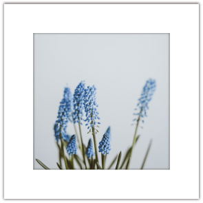 フォトイメージ